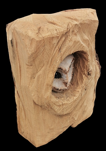 scheiereule barn owl eule holz motors�ge kettens�ge schnitzen kettes�genkunst motors�genkunst holzwerker